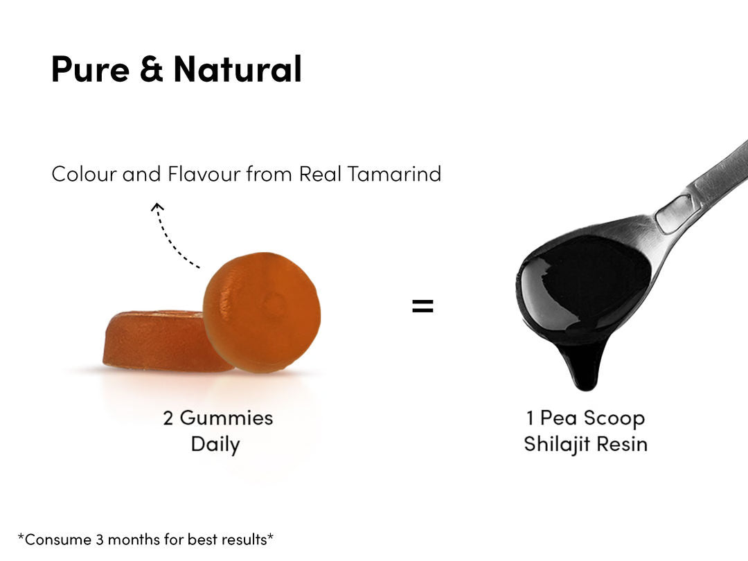 FUERZA BOOST™ — Himalayan Shilajit Gummies